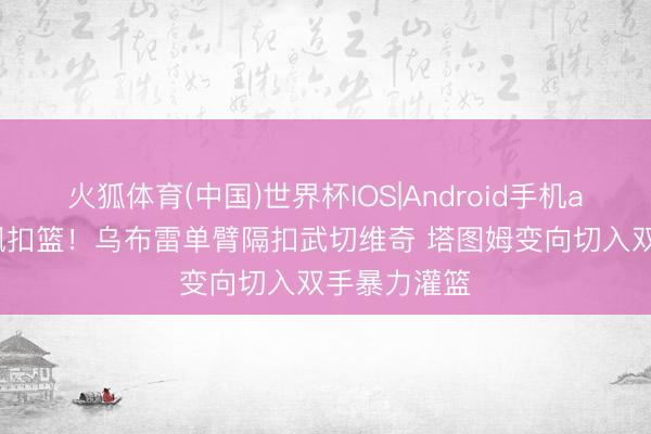 火狐体育(中国)世界杯IOS|Android手机app下载 对飙扣篮！乌布雷单臂隔扣武切维奇 塔图姆变向切入双手暴力灌篮