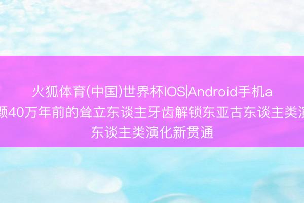 火狐体育(中国)世界杯IOS|Android手机app下载 6颗40万年前的耸立东谈主牙齿解锁东亚古东谈主类演化新贯通