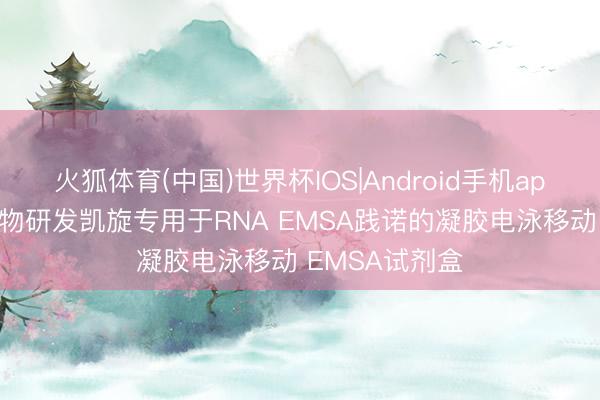火狐体育(中国)世界杯IOS|Android手机app下载 百代生物研发凯旋专用于RNA EMSA践诺的凝胶电泳移动 EMSA试剂盒