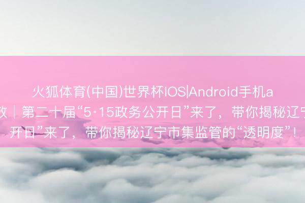火狐体育(中国)世界杯IOS|Android手机app下载 政务公开提质效│第二十届“5·15政务公开日”来了，<a href=
