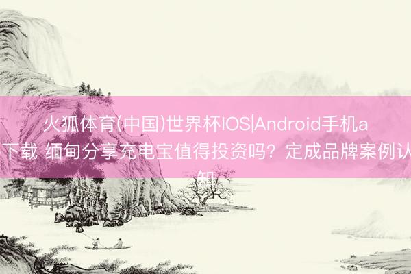 火狐体育(中国)世界杯IOS|Android手机app下载 缅甸分享充电宝值得投资吗？定成品牌案例认知