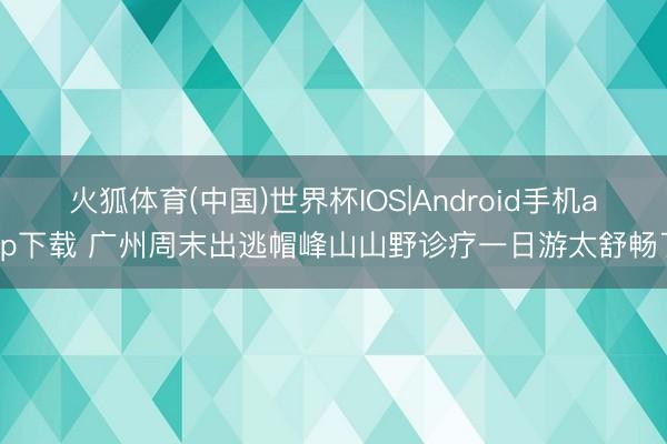 火狐体育(中国)世界杯IOS|Android手机app下载 广州周末出逃帽峰山山野诊疗一日游太舒畅了