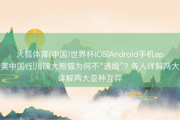 火狐体育(中国)世界杯IOS|Android手机app下载 秀美中国行|川陕大熊猫为何不“通婚”? 各人详解两大亚种互异