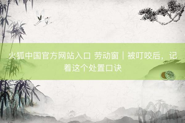 火狐中国官方网站入口 劳动窗|被叮咬后,记着这个处置口诀