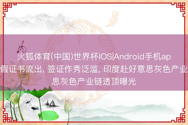 火狐体育(中国)世界杯IOS|Android手机app下载 十万假证书流出， 签证作秀泛滥， 印度赴好意思灰色产业链透顶曝光