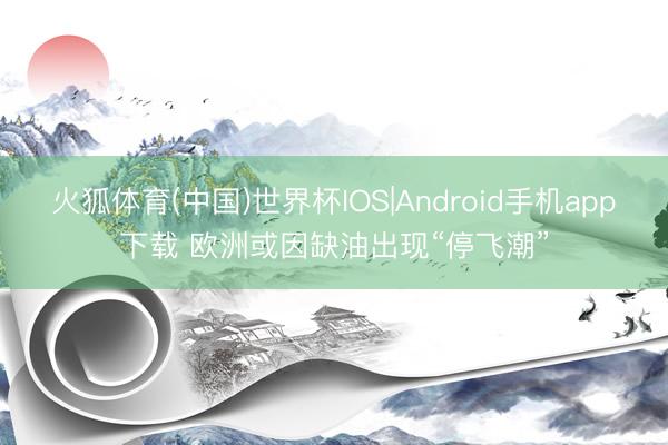 火狐体育(中国)世界杯IOS|Android手机app下载 欧洲或因缺油出现“停飞潮”